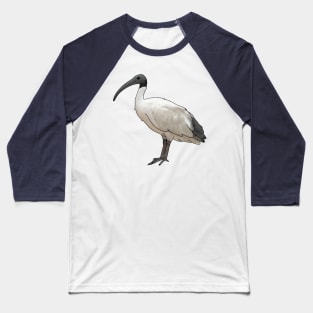 Bin Chicken Baseball T-Shirt